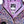 All-Weather Hoodie - Rainbow Leopard (2026)